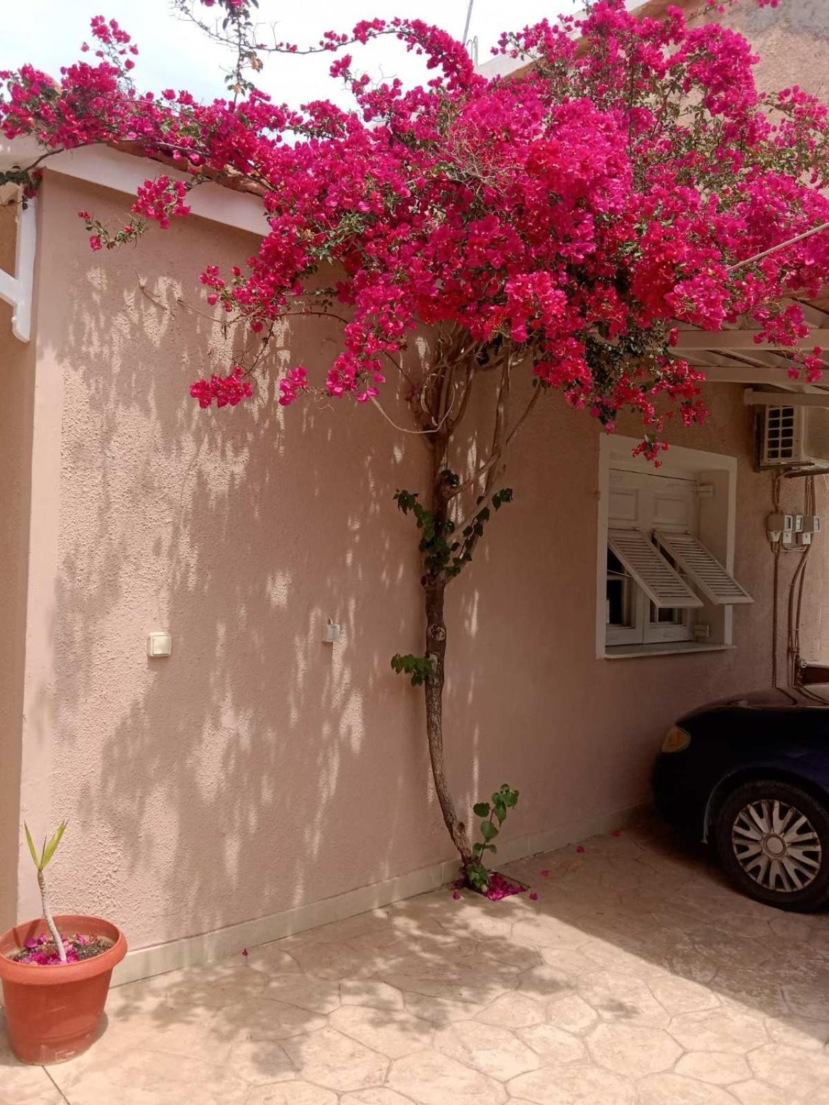 Menegis Apartment ไซคิย์นธอสทาวน์ ภายนอก รูปภาพ